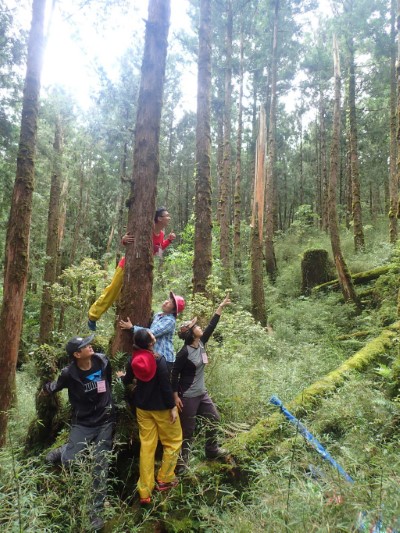 「森林關鍵報告」羅東自然教育中心邀您擔任探訪森林秘辛的調查員
